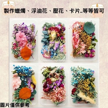 當天出貨🇹🇼綜合乾燥花盒 超高cp 香薰蠟燭 香氛片材料 天然乾燥花 植物果實 拍照道具 永生花