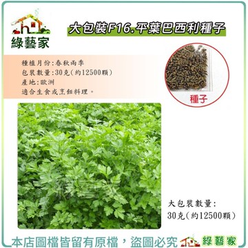 【綠藝家】大包裝F16.平葉巴西利種子30克(約12500顆) 香辛類種子 洋香菜 香芹 種子【綠藝家】