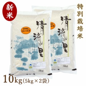 新米 令和5年 2023年度産 新潟県産 こしいぶき 10kg(5kg×2袋) お取り寄せ 新米ギフト 贈り物 精米