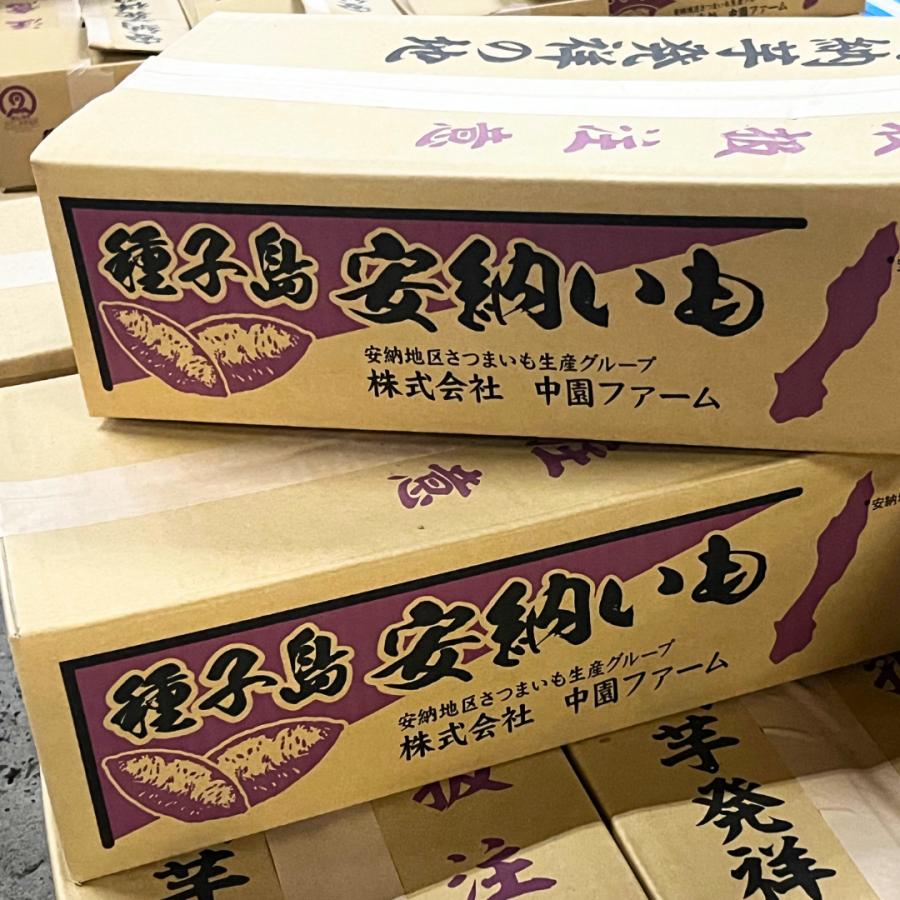 鹿児島県産 種子島 安納芋 中園ファーム LM 18玉〜30玉 5kg相当 さつまいも あんのういも 生芋 産地直送 焼き芋 最適 スイーツ 熟成 蜜芋 お誕生日 内祝い