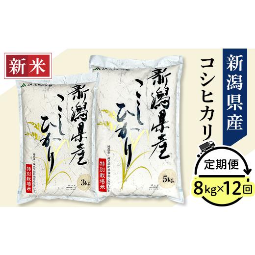 ふるさと納税 新潟県 長岡市 75-3N08Z新潟県長岡産コシヒカリ8kg（特別栽培米）