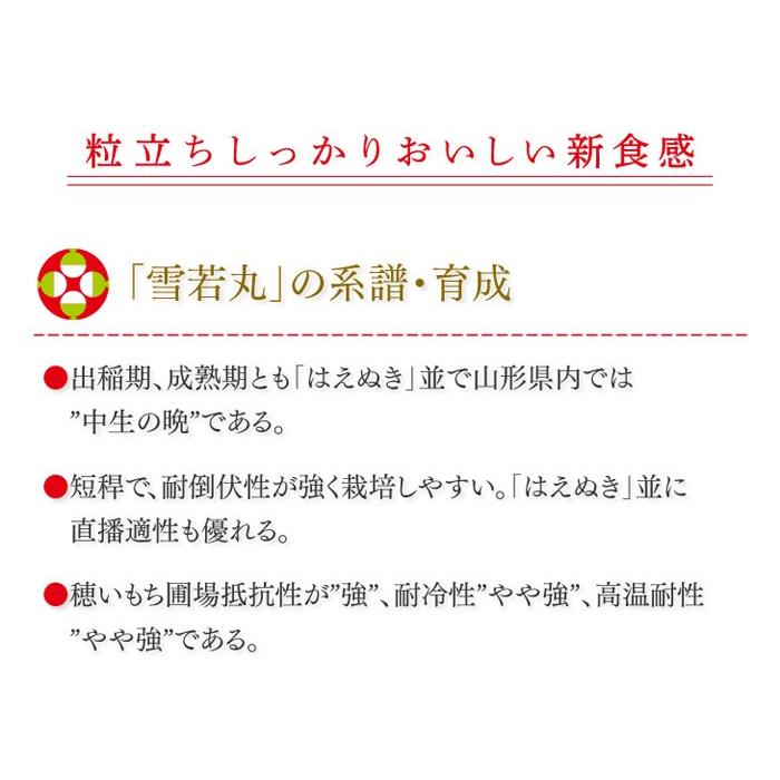 令和5年産 山形県産 雪若丸 10kg（5kg×2） お米 ご飯 ライス 白米 粒立ち