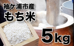 袖ケ浦産　もち米5kg