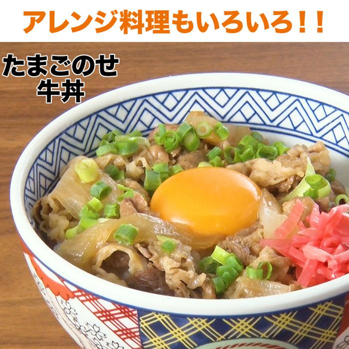 吉野家牛丼の具30食 テレビ朝日 テレ朝通販 ロッピング