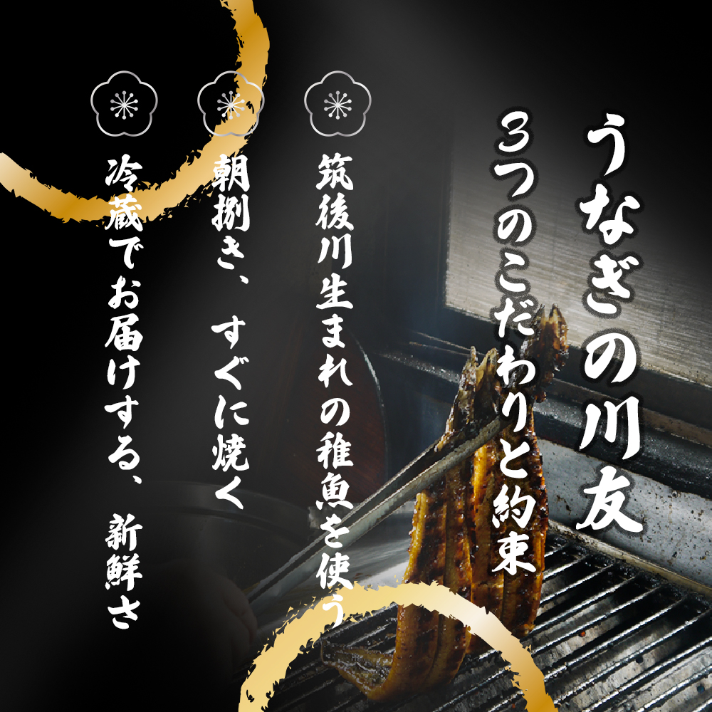 AK002_朝開き国産うなぎ当日発送２尾（1尾あたり約200～230ｇ） 塩焼き 国産鰻 ウナギ 土用丑の日／みやき町