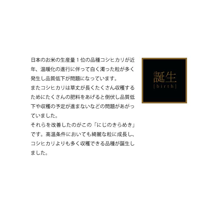 米 10kg お米 にじのきらめき 送料無料 令和5年 新米 栃木県産（北海道・九州 300円）