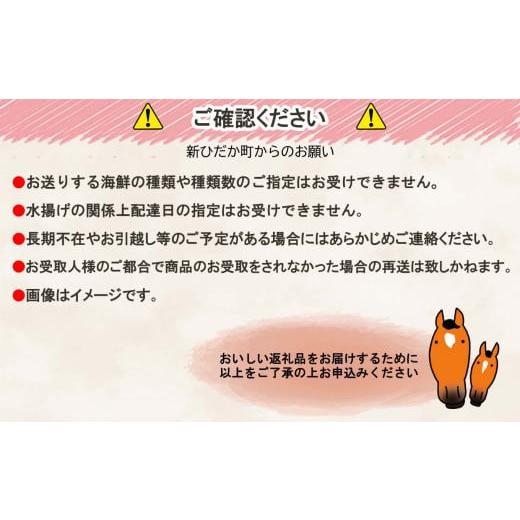 ふるさと納税 北海道 新ひだか町 北海道産 旬 の お魚 5種 以上 豪華 お魚 魚 旬の魚 お楽しみ セット 詰め合わせ