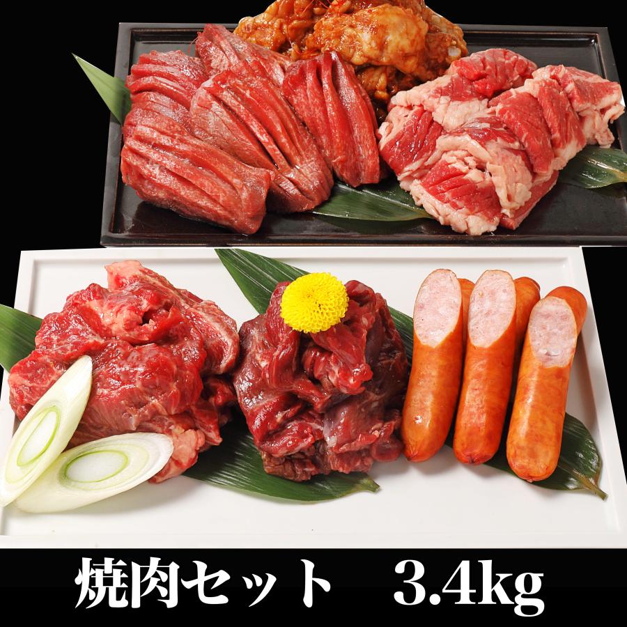 メガ盛り 焼肉セット 肉 訳あり 送料無料 福袋 牛タン ホルモン カルビ ハラミ ロース 焼肉 bbq お取り寄せ グルメ ギフト 食品 メガ盛り 3.4kg