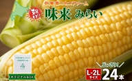 北海道産 とうもろこし 味来 計24本 L-2L サイズ混合 大きめ みらい 旬 朝採り 新鮮 トウモロコシ 甘い 夏野菜 とうきび お取り寄せ 産地直送 野菜 しりべしや 送料無料 北海道 倶知安町