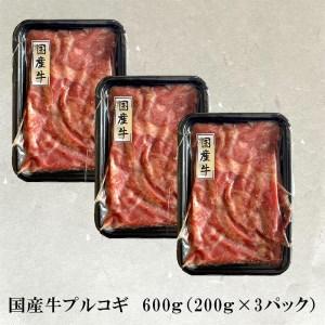 ふるさと納税 牛肉 切り落とし スライス (プルコギ味) 赤身 国産牛 600g 京都府舞鶴市