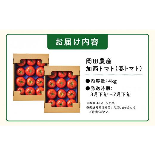 ふるさと納税 兵庫県 加西市 加西とまと（2023年度産）4kg