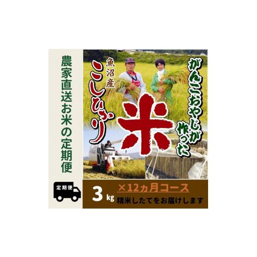 ふるさと納税 新潟県 南魚沼市 令和５年産新米がんこおやじが作った南魚沼産コシヒカリ白米３kg