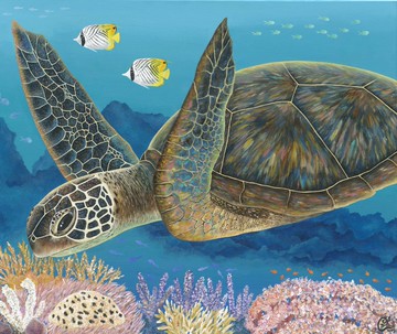 海龜繪畫  慢 是牠的力量