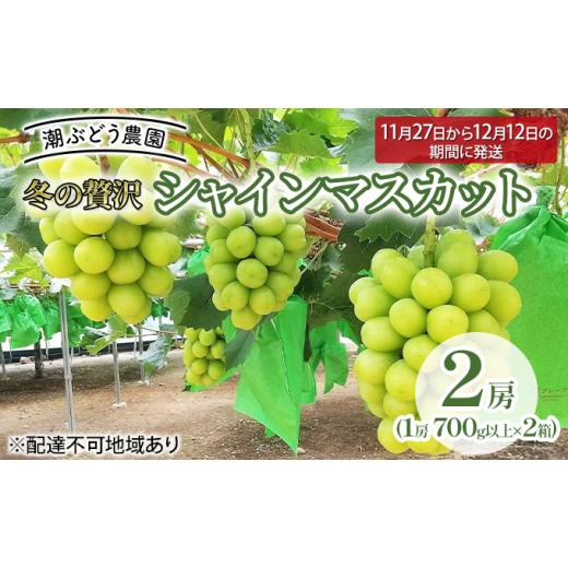 ふるさと納税 岡山県 里庄町 ぶどう 2024年 先行予約 冬の贅沢 シャインマスカット 2房(1.4kg以上)【11月27日から12月12日の期間に発送…