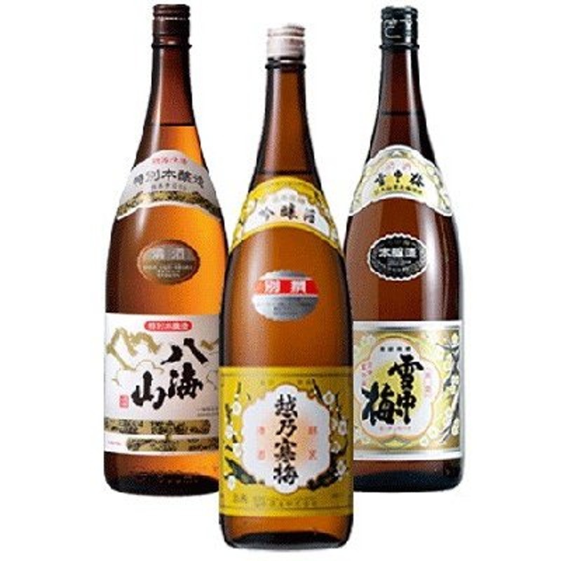 ト送料込 越乃景虎 純米大吟醸酒（数量限定酒）10本 - crumiller.com