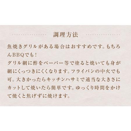 ふるさと納税 一夜干し詰合せ 富山県 氷見市 干物 一夜干し 詰め合わせ 加工食品 富山県氷見市