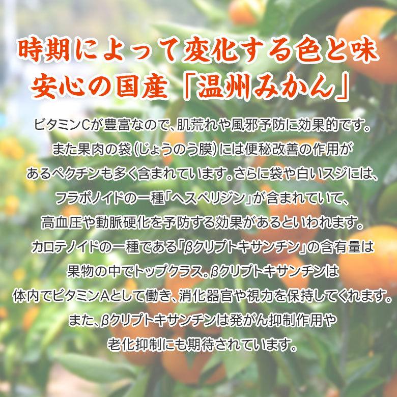 送料無料 キズ有り 訳あり 家庭用 みかん 和歌山県産 和歌山みかん 温州みかん 2Lサイズ以上 サイズ混合 約8kg前後 キズあり 国産  国産みかん