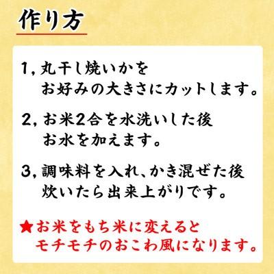 丸干し焼いか