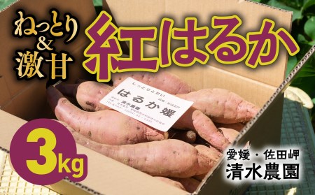 愛媛県伊方町産　瀬戸の紅はるか3kg さつまいも　サツマイモ　芋 ※着日指定不可 ※離島への配送不可