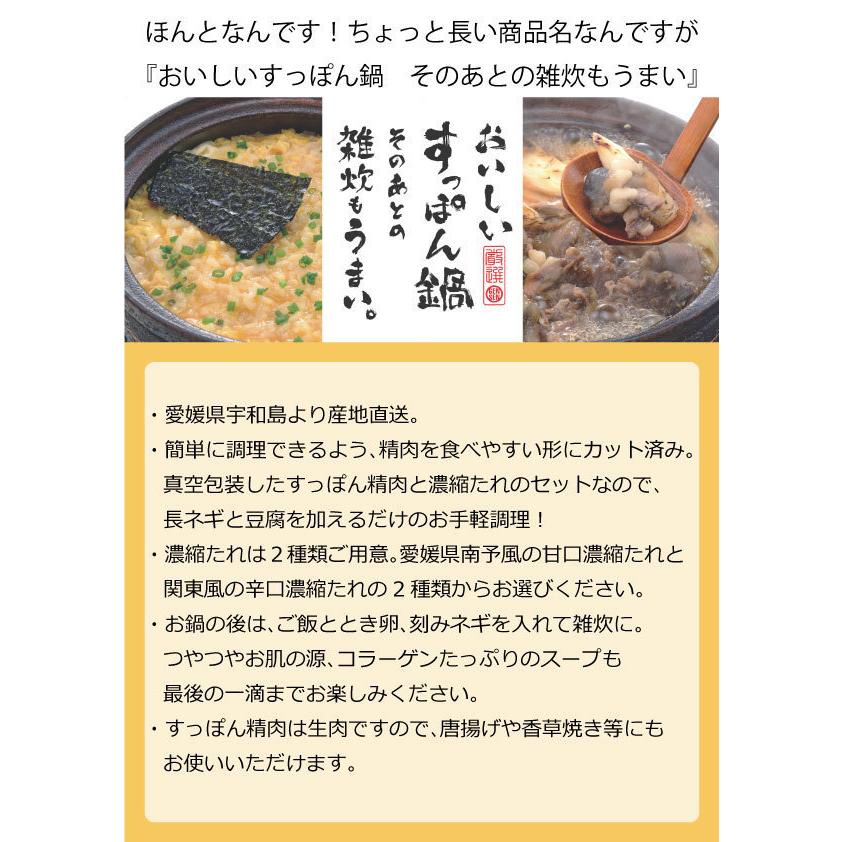  おいしいすっぽん鍋（辛口） 愛媛 産地直送 お鍋 すっぽん 雑炊 おいしい お手軽 鍋セット グルメ 濃厚たれ 辛口