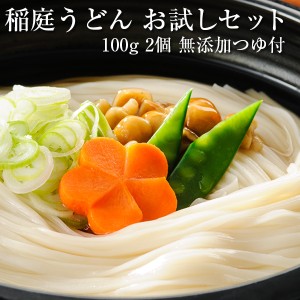 稲庭うどん小川 稲庭うどん お試しセット2人前 100gx2 無添加つゆ付 送料無料(ゆうパケット)