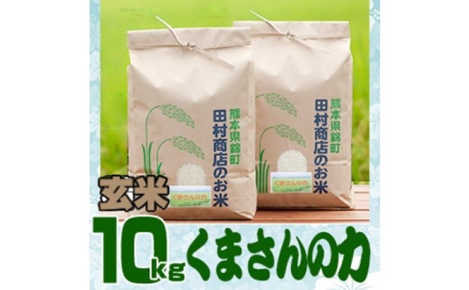 米 10kg 令和5年 くまさんの力 5kg×2 玄米 こめ