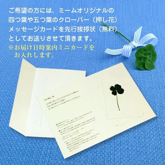 お歳暮 ギフト 千屋牛 Ａ５ランク 熟成ステーキ リブロース肉 900ｇ（300g×3） 内祝い、お誕生日、お礼