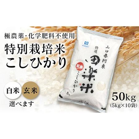 ふるさと納税 A-010 「田楽米」コシヒカリ50kg≪エコやまぐち50認証取得≫ 山口県山口市