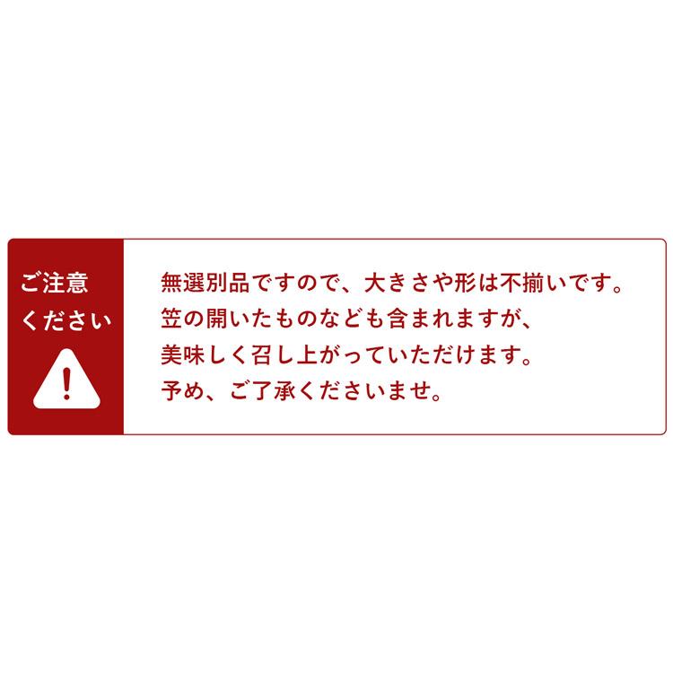 椎茸 無農薬 栃木県産 1kg 無選別 生しいたけ 菌床栽培 室内栽培 ご家庭用 国産 不揃い シイタケ リンネ農園 産地直送 産直 冷蔵便 同梱不可 指定日不可