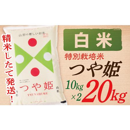 ふるさと納税 山形県産つや姫20kg(10kg×2袋) 山形県最上町