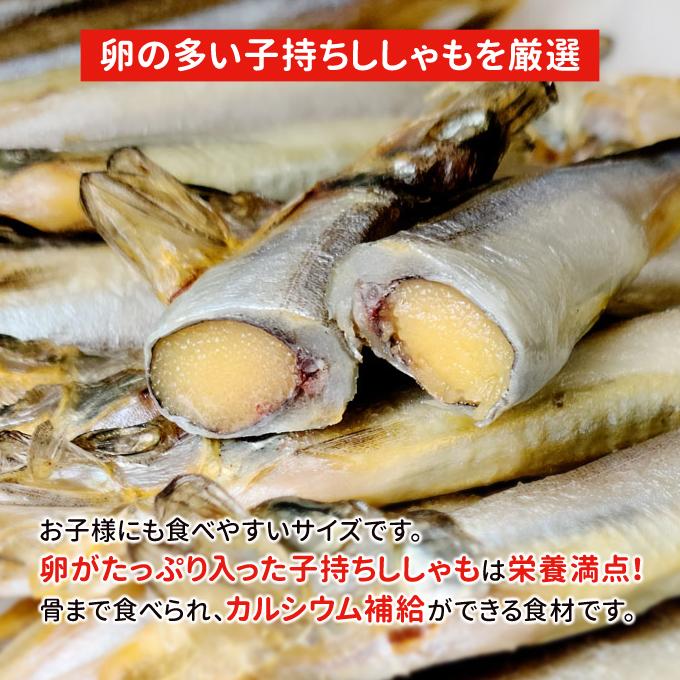 訳あり子持ちししゃも 450g 送料無料