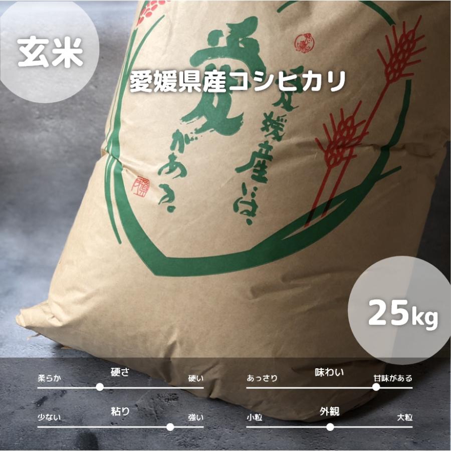  愛媛県産 コシヒカリ 玄米 25g 令和5年産使用 備蓄米 お米 米 こめ こしひかり コシヒカリ  お米のまるひ マルヒ食糧 国産 送料無料