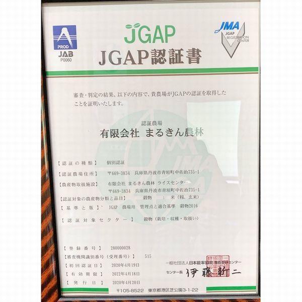 米 お米 新米 10kg ミルキークイーン (5kg×2) ネオニコチノイド系農薬不使用 兵庫県産 令和5年産