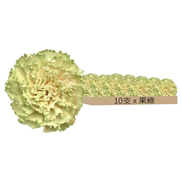 康乃馨 花  果綠  10支