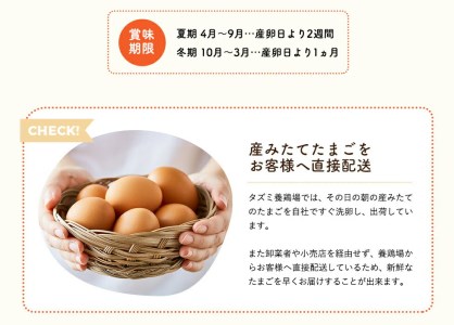 022AB01N.タズミの卵（30個×3ヶ月）