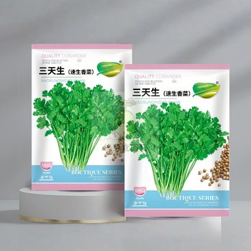 🌱【原裝蔬菜種子】三天生速生香菜 親測出芽率超85% 快長型 四季生 農家蔬菜 易種植高產田園庭院陽台盆栽蔬菜種子
