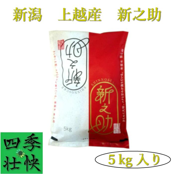 令和５年産　新潟県上越産　特別栽培米　新之助　精米５kg入