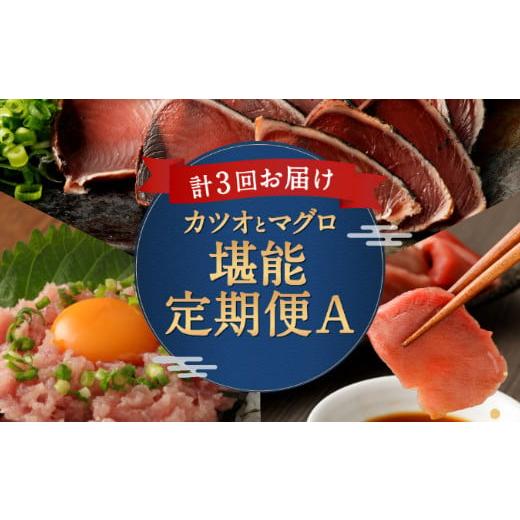 ふるさと納税 高知県 室戸市 ＜３ヶ月連続＞カツオとマグロ堪能定期便Ａ かつお まぐろ ねぎとろ かつおのたたき まぐろのたたき 定期便 海鮮 海産物 魚 3回