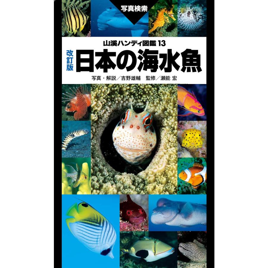 山溪ハンディ図鑑 改訂版 日本の海水魚 電子書籍版   著者:吉野雄輔