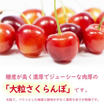 ふるさと納税 山形県 特秀　山形県産さくらんぼ(紅秀峰)500g×2パック