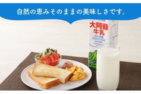 らくのうマザーズ 大阿蘇 牛乳 3.6％ 1L×6本 紙パック 成分無調整