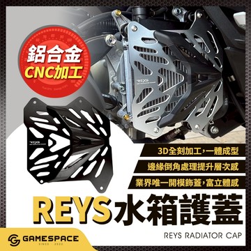 【GAME SPACE】REYS 水箱罩 水箱護罩 水箱護網 MMBCU JETSL DRG 勁戰 勁戰七代 RTS