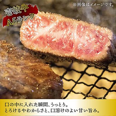 ふるさと納税 壱岐市 壱岐牛A5ランク ヒレステーキ ギフト 約200g×2