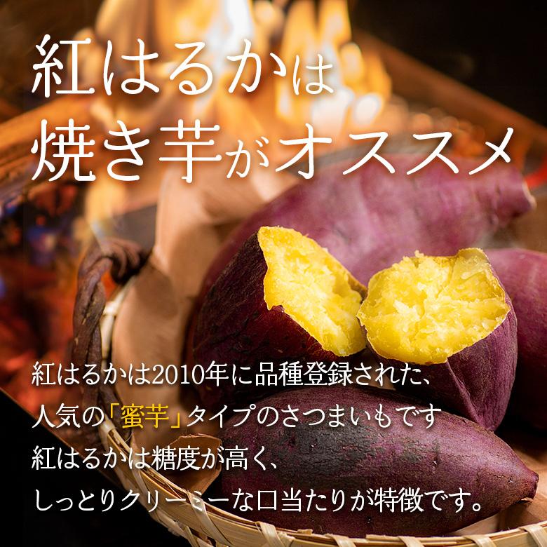 熊本県産 紅はるかorシルクスイート 2kg 送料無料