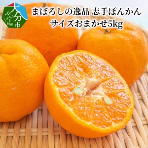 C09020まぼろしの逸品 志手ぽんかん サイズおまかせ5kg