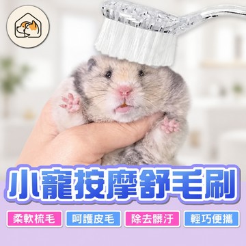 《家有毛孩🐾》小寵按摩梳毛刷 呵護皮毛 倉鼠軟毛小梳子 倉鼠梳子 輕巧便攜 兔子龍貓豚鼠美毛梳子 小寵用品 倉鼠用品