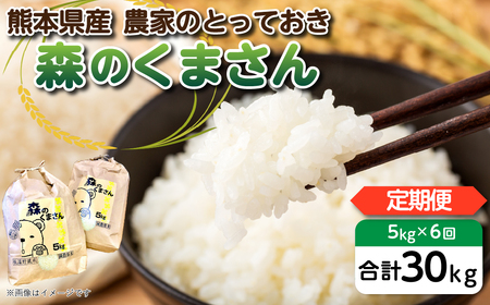   八代市産 森のくまさん 農家のとっておき 5kg×6回 熊本県 送料無料