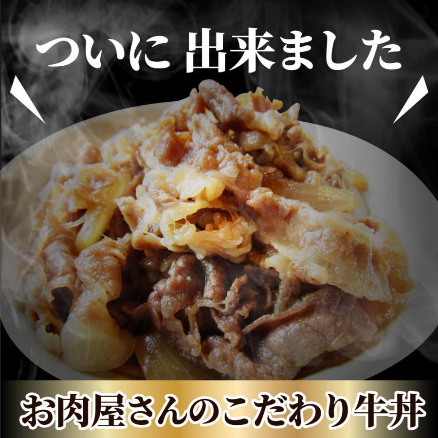 牛丼 牛丼の具 60個セット お肉屋さんのこだわり たっぷり牛肉の簡単牛丼 1食120g