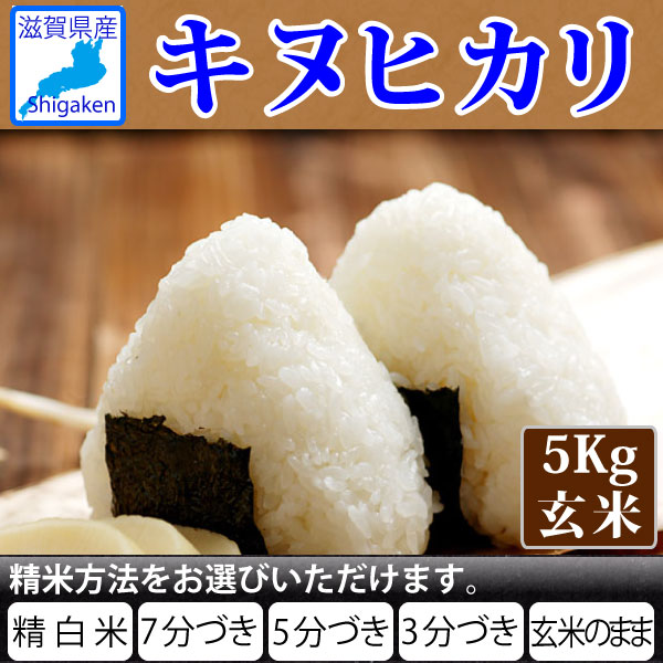 令和5年産 新米 滋賀県産キヌヒカリ5Kg玄米 精米方法が選べます お好きな分つきに 健康応援