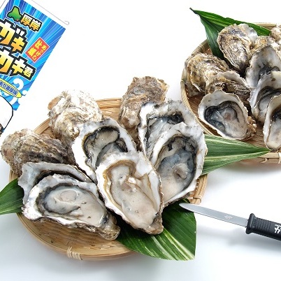 北の海のミルク！ 厚岸産 牡蠣 3Lサイズが50個！ 生食用